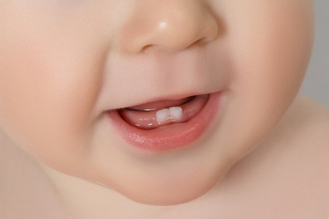 os primeiros dentes do bebê